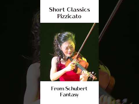 #Schubert's #Fantasia: Passionate #Violin #Pizzicato