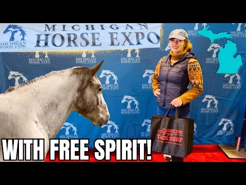 Michigan Horse Expo! Meeting Fans, Shopping, & Horses