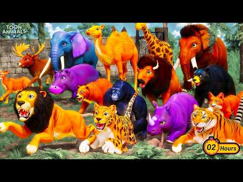 Best of Toon Animals: Epic Wildlife Battles Compilation | 2 Hours of Animal Fights Videos!