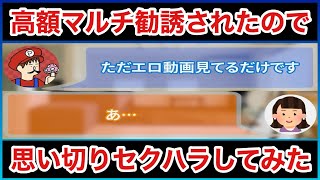 【高額なマルチ商法勧誘されたので思い切りセクハラしてみた】