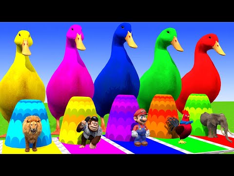 5 Giant Duck Cartoon,Cow,Elephant,Tiger,Lion,Dinosaur,Paint Wild Animals Crossing Fountain Animation