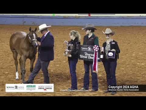 Weanling Fillies - 2024 AQHA World Championship Show