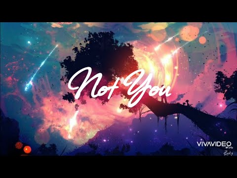 Not You - Alan Walker, Emma Steinbakken (lyrics)