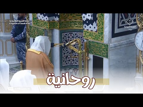 تلاوة الشيخ خالد المهنا من فواتح النساء | أجواء روحانية في المسجد النبوي ليلة 6 رمضان 1446هـ