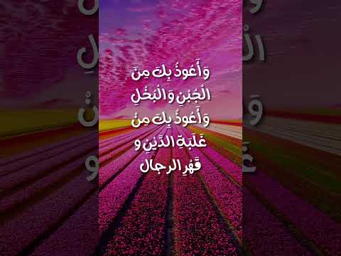 Calming and Most Peaceful Quran Recitation, Dua to Remove Anxiety, Sadness and Bring Out Happiness