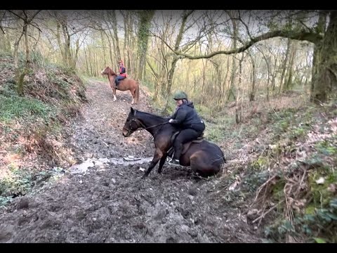 This Horse pretends to be brave!!