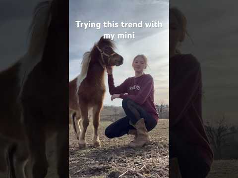 She had lots of energy to get out 😅🥰 #cute #trend #horse #minihorse #horselover