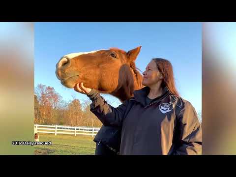 Celebrating 25 Years of The Gentle Barn Farmed Animal Sanctuary