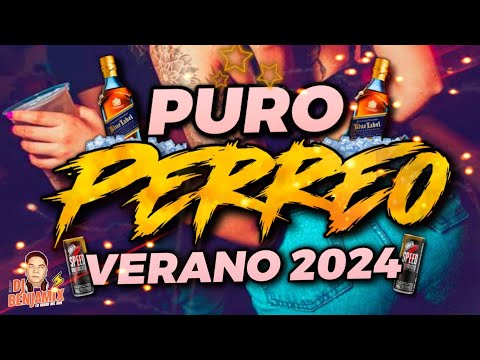 EXPLOTA LA PREVia 2024 💣 LO MAS NUEVO - EXITOS - PERR3O - REGGAETON - CUMBIA _ ALTA PREVIA 2024 dj🐼