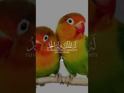 لا حول ولا قوة الا بالله