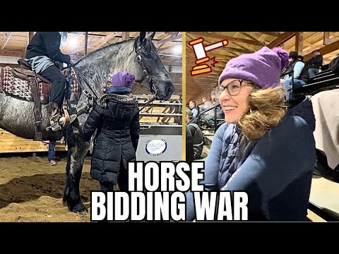 I Bid On 3 Horses At This Auction!!! Are We Bringing A New Horse Home?