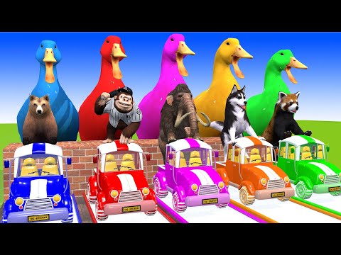 5 Giant Duck Cartoon,Cow,Elephant,Tiger,Lion,Dinosaur,Paint Wild Animals Crossing Fountain Animation