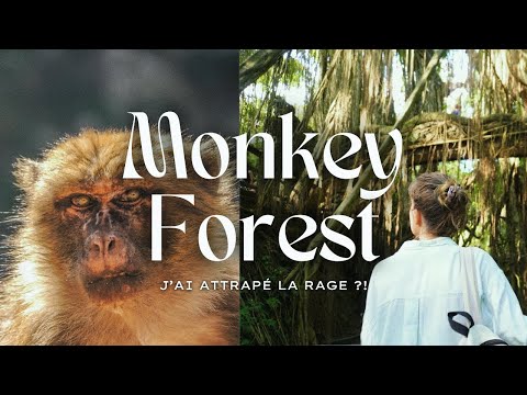 Attaquée par des macaques, je dois me faire vacciner d'URGENCE contre la RAGE 💉 | Ubud Monkey Forest