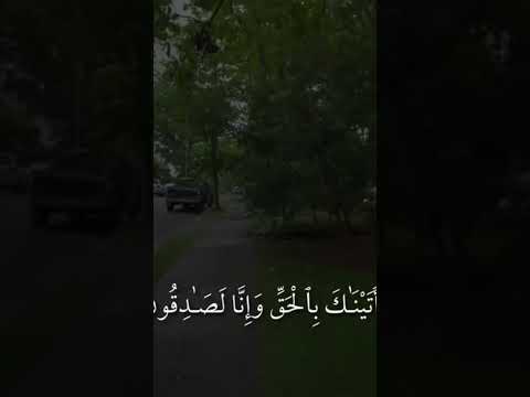 القران الكريم تلاوة هزاع البلوشي #راحة_نفسية #لايك