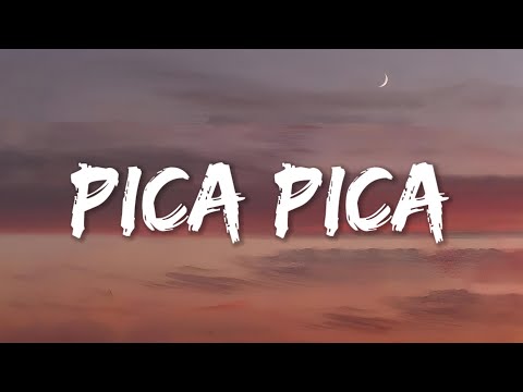 Pica Pica - Juan Reza (Lyrics)