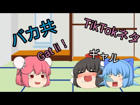 【TikTokネタ】バカ共