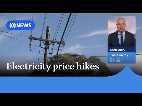 Consumers are going to pay more for electricity | ABC News