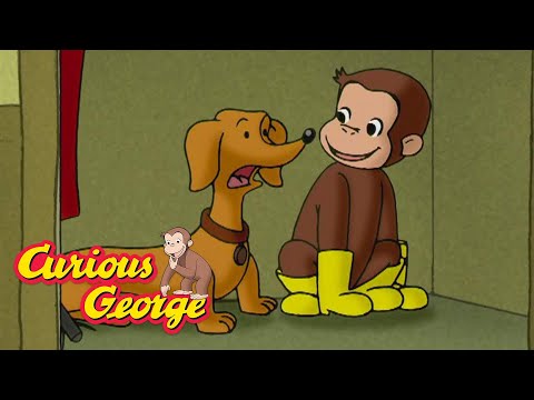 George Is A Good Dog! 🐵 Curious George 🐵 Kids Cartoon 🐵 Kids Movies