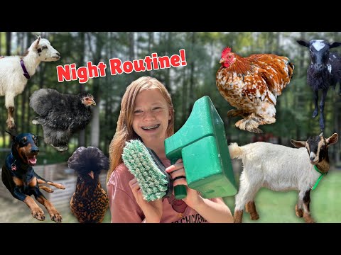 MY REALISTIC NIGHT ROUTINE W/ 50+ FARM ANIMALS!!!