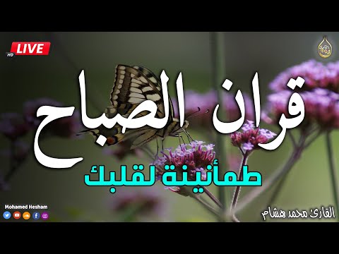 قرآن الصباح في شهر رمضان قبل الافطار☀️ قرآن كريم بصوت جميل جدا جدا يريح القلب ❤️ القارئ محمد هشام