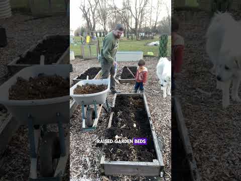 Homemade compost into the garden!