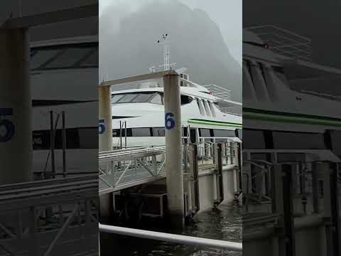 Milford Sound New Zealand ferry terminal #kuyabogpilotzn #milfordsound #nz #travel #nature