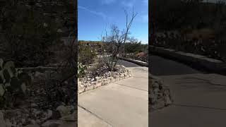 Carlsbad caverns #nationalpark #travel #roadtrip2025 #hiking