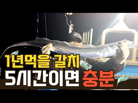 갈치 낚시! ! 5시간이면 1년 먹을 갈치 잡습니다👍