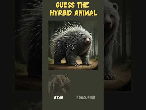 #shorts Guess The Hybrid Animals 🦁 Crazy Animal Mashup part 3