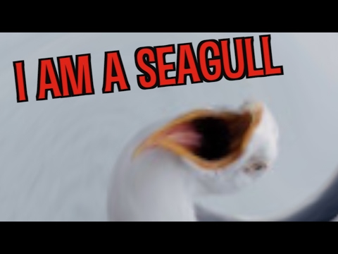 I AM A SEAGULL (another unlisted video)