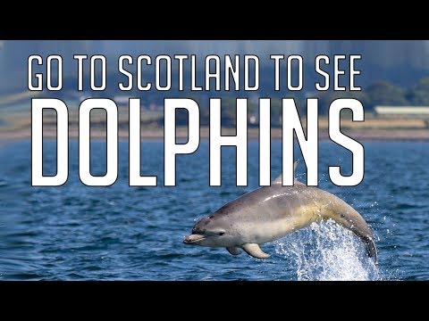 Exploring Fort George and Dolphin Photography || Scotland Campervan Trip - Day 6