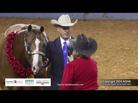 Aged Mares - 2024 AQHA World Championship Show