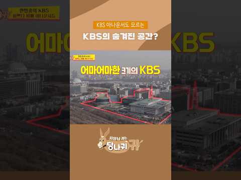 Hidden space in KBS?🧐 #BossInTheMirror | KBS WORLD TV