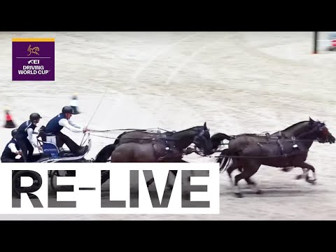 RE-LIVE | Competition 2 - FEI Driving World Cup 2024/25 Geneva (SUI)