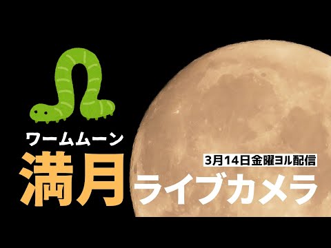 【4Kライブ】満月ライブカメラ 3月の満月ワームムーン／千葉市幕張｜今日は海外では月食も 2025年3月14日｜Fullmoon Live Webcam