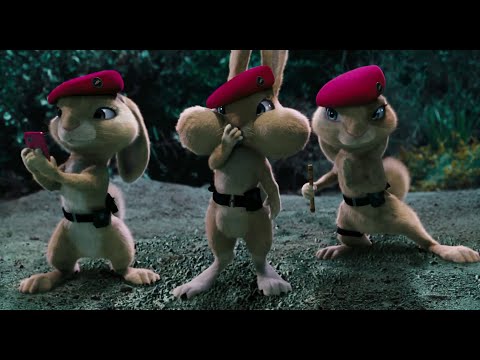 Hop - the Pink Berets