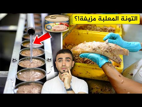 لماذا التونة المعلبة رخيصة الثمن مقارنة بالتونة الحقيقية😱مصانع التونة تكشف الحقيقة بالفيديو 🤦