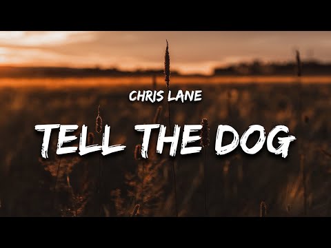 Chris Lane - What Am I Supposed To Tell The Dog (Lyrics)