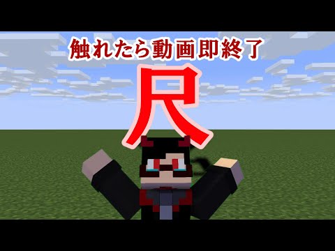 【マイクラ】尺に追われる動画2【コマンド】【マインクラフト】