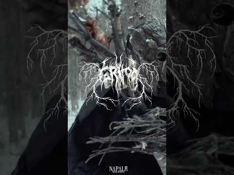 GRIMA - Flight of the Silver Storm