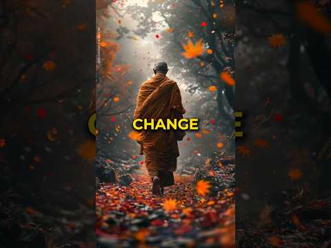 Finding Peace in Change #buddhistwisdom #embracechange #mindfultransformation