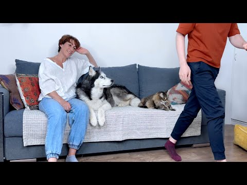 Who Will My Dogs and Cats Choose? Dad Or Mom?