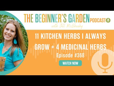 11 Kitchen Herbs I Always Grow + 4 Medicinal Herbs