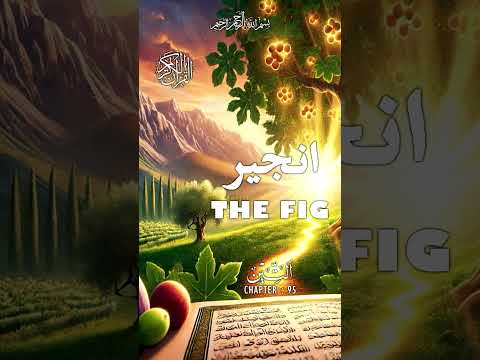 Quran | Translation | Urdu | Chapter 95 | The Fig | Surah At-Tin