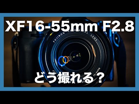 【大三元ズームを楽しむ！】FUJIFILM XF16-55mm F2.8 R LM WR、どんな写真が撮れる？作例交えて紹介！