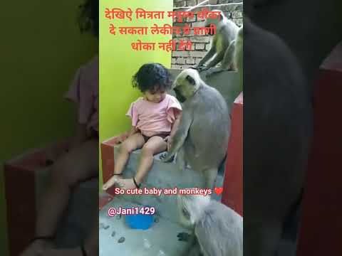 #shortvideo #cutebaby #monkeylove #trending #song #youtubeshorts