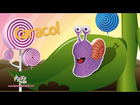 "Caracol" (Lengua de signos)