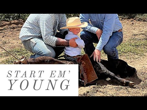 BRANDING AND RIDING CALVES #family #ranch #cattle