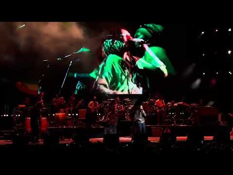 The Marley Brothers Perform “Jamming” LIVE at Midflorida Credit Union Amphitheater 10.4.24 Tampa FL