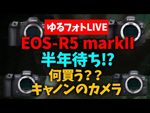 CANON EOS R5 markIIは半年待ち。CANONのカメラ何買う？